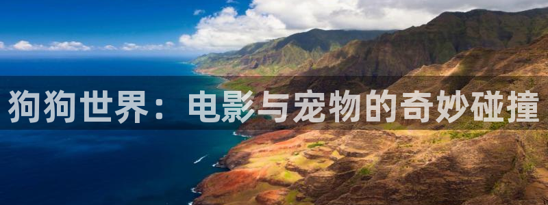 神马影视电视剧大全免费观看